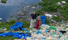 Des récupérateurs de déchets collectant des sacs plastiques pourles revendre à des recycleurs à Dacca au Bangladesh le 8 septembre 2024. ( AFP / Munir UZ ZAMAN )