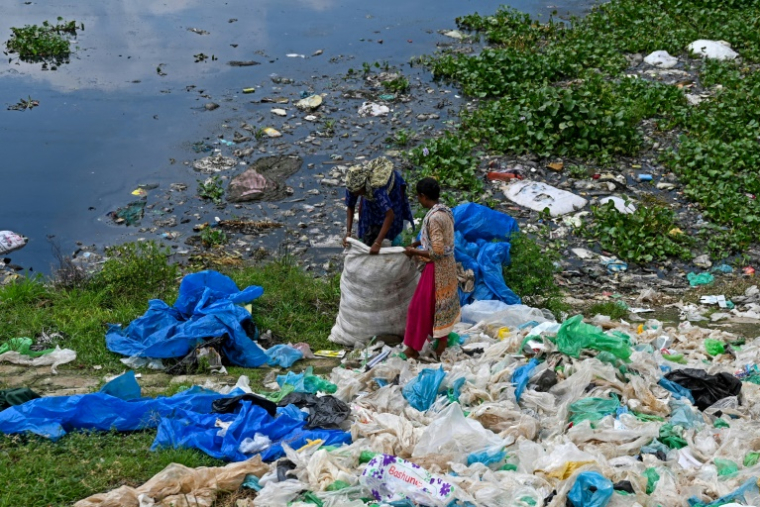 Des récupérateurs de déchets collectant des sacs plastiques pourles revendre à des recycleurs à Dacca au Bangladesh le 8 septembre 2024. ( AFP / Munir UZ ZAMAN )
