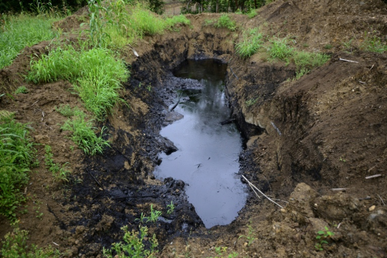 Une nappe de pétrole en plein champ à Furberos, dans l'État de Veracruz, au Mexique, le 10 avril 2026 ( AFP / MARCO ANTONIO MARTINEZ )