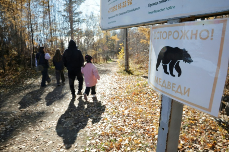 Un panneau avertissant de la présence d'ours sur un sentier de randonnée dans le parc national du lac Baïkal, dans la région d'Irkoutsk, le 9 octobre 2026 en Sibérie ( AFP / TATYANA MAKEYEVA )
