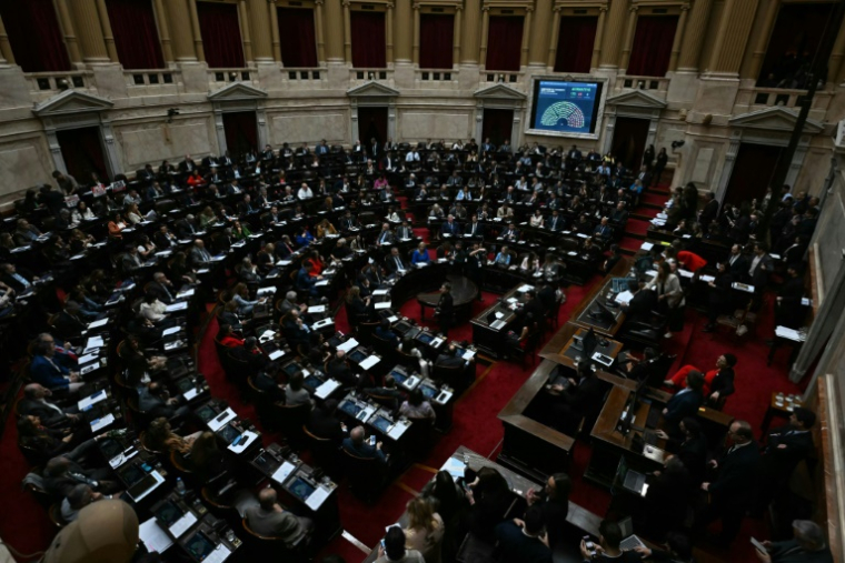 Des députés réunis au Congrès national pour discuter des vetos du président argentin Javier Milei à Buenos Aires, le 17 septembre 2025 ( AFP / Luis ROBAYO )