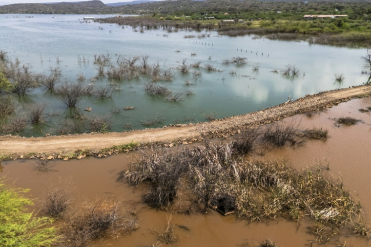 Une image aérienne montre, le 29 juillet 2026, le voisinage entre l'eau saline du lac Bogoria, au Kenya, et l'eau douce du marais de Kiborgoch, alimenté par un affluent du lac Baringo ( AFP / Tony KARUMBA )