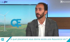 A quel placement vous donne accès une Assurance vie ?