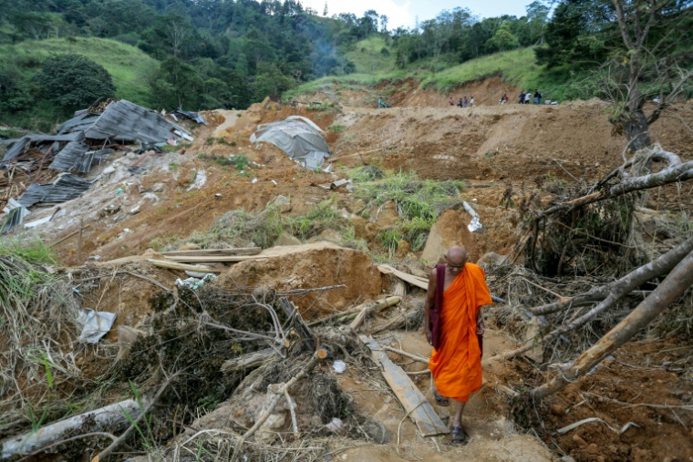 Un moine bouddhiste au milieu d'arbres déracinés et de maisons endommagées après des glissements de terrain provoqués par le cyclone Ditwah dans le village d'Ulapane, près de la ville de Nawalapitiya, dans le district de Kandy, le 7 décembre 2025 au Sri Lanka ( AFP / - )