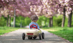 (Crédits photo : Adobe Stock - Révision auto avant vacances)