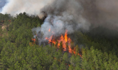 Vue sur un incendie de forêt dans la province turque de Bursa