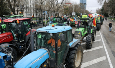 La manifestation des agriculteurs espagnols contre contre l'accord commercial Mercosur, à Madrid le 11 février 2026. ( AFP / Thomas COEX )