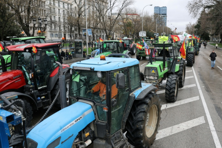 La manifestation des agriculteurs espagnols contre contre l'accord commercial Mercosur, à Madrid le 11 février 2026. ( AFP / Thomas COEX )