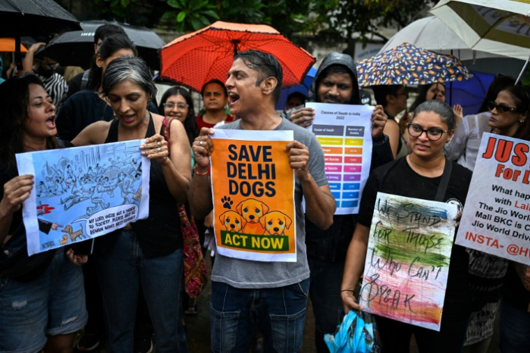 Des habitants manifestent contre l'ordre de la Cour suprême indienne de retirer les chiens errants de la capitale New Delhi, le 14 août 2025 à Bombay, en Inde ( AFP / Punit PARANJPE )