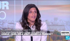 Sommet "Africa Forward" : Afrique anglophone, le pari français ?