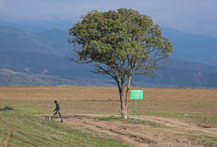 Un arbre sur la route menant à la région du Haut-Karabakh