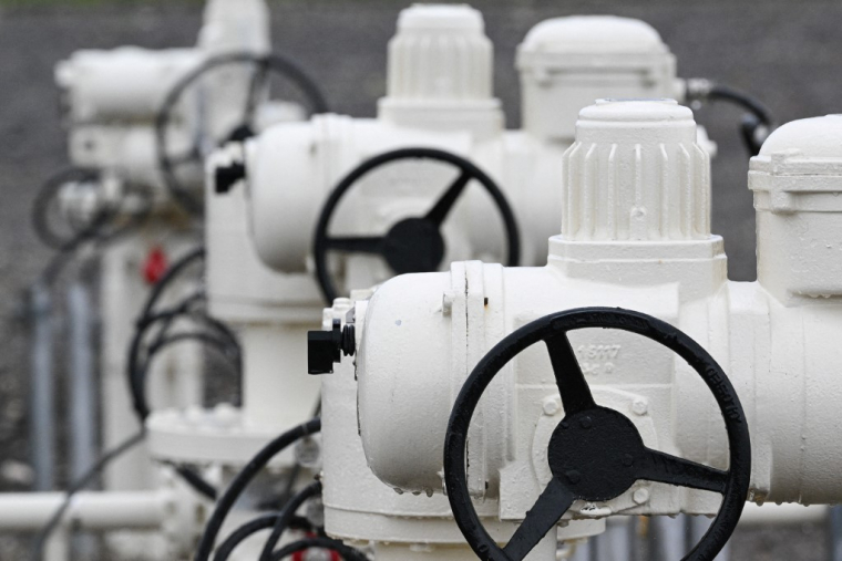 Station GRTgaz à Morelmaison (Vosges). ( AFP / SEBASTIEN BOZON )