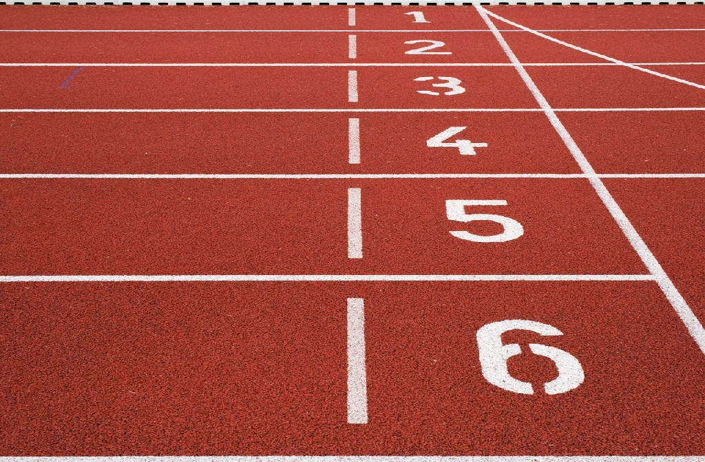 Sans se prendre pour Madame Irma, nous pouvons prédire une belle victoire pour les Large en termes de performance cette année. Pour le moment, c'est la 3ème meilleure performance depuis 2001 mais il reste deux mois. (source : Pexels)