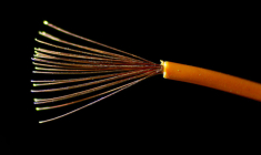 LEGRAND ET REXEL NEUTRALISENT AU 1ER SEMESTRE LES TARIFS DOUANIERS US