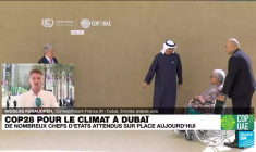 COP28 à Dubaï : de nombreux chefs d'État sont attendus sur place