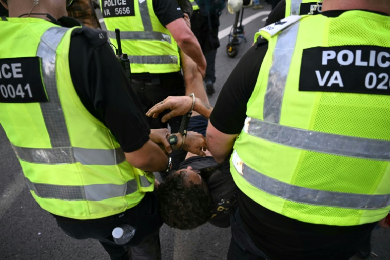 Des policiers arrêtent un manifestant lors d'un rassemblement de soutien au groupe Palestine Action à Londres, le 6 septembre 2025 ( AFP / JUSTIN TALLIS )