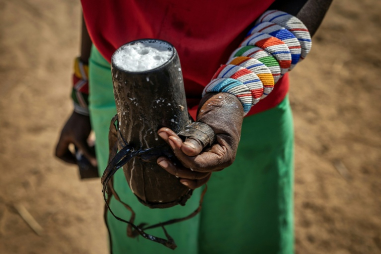 Un éleveur samburu tient un gobelet de lait de dromadaire fraîchement trait, près de Sereolipi (Kenya), le 29 septembre 2025 ( AFP / Luis TATO )