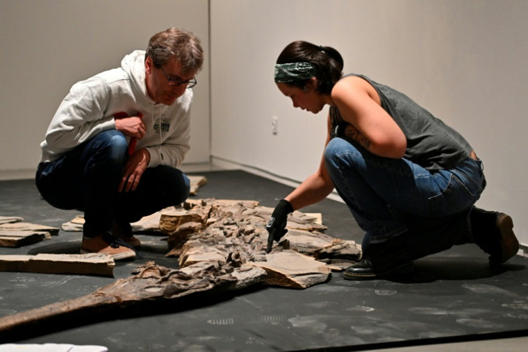 Stéphane Fouché, responsable des collections de paléontologie du musée de Lodève dans l'Hérault, et Camille Auclair, restauratrice et paléontologue pour la société Kraniata, au chevet d’un squelette de crocodile du Jurassique, le 10 octobre 2025 ( AFP / Sylvain THOMAS )
