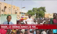 Evacuations au Niger : quels sont les moyens déployés par la France pour les ressortissants français et européens ?