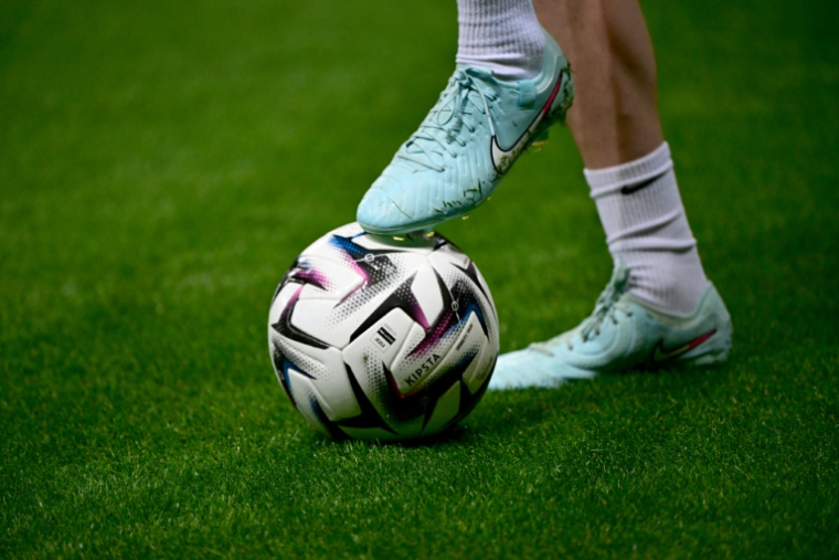 Le sport français scrutera lundi l'hémicycle de l'Assemblée nationale, qui débat d'une loi visant à répondre aux "dérives" de la gouvernance du milieu professionnel, principalement du football ( AFP / Miguel MEDINA )