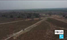 Brésil : le Pantanal, un paradis vert dans l'enfer des flammes