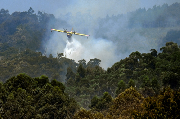 Un avion combat un incendie près du village de Vilaboa, dans le nord-ouest de l'Espagne le 22 août 2025. ( AFP / MIGUEL RIOPA )