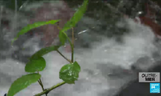 La Réunion : le trafic de stupéfiants en plein essor avec l’arrivée de nombreuses "mules"