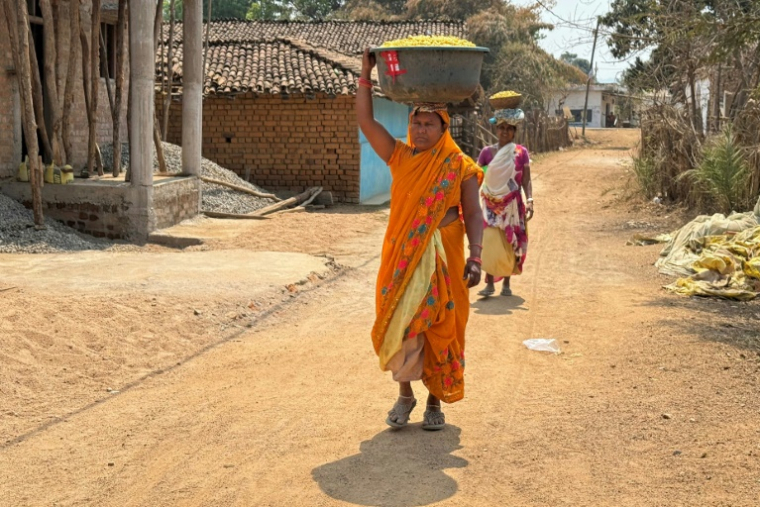 Des villageoises portent des paniers de Mahua, des boutons d'or, dans le village de Paragaon, dans le district de Gariaband, le 13 mars 2025 dans l'Etat du Chhattisgarh, en Inde ( AFP / Jalees ANDRABI )