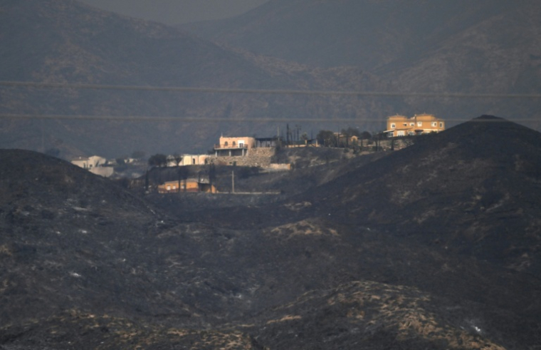 Des maisons situées dans une zone ravagée par un incendie de forêt  près de Los Gallardos, dans la province d'Almería, le 10 juillet 2026 en Espagne ( AFP / JOSE JORDAN )