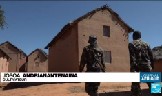 Madagascar : 32 personnes tuées par des voleurs de bétail