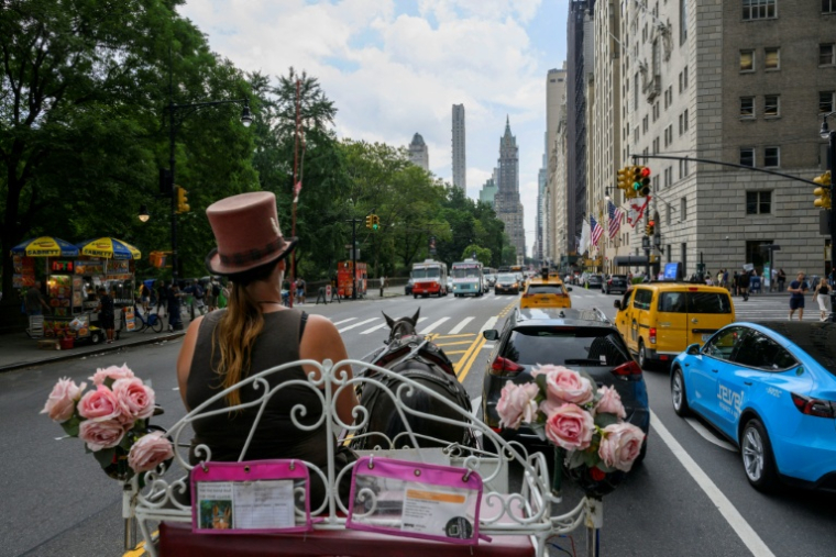 La cochère Christina Hansen sur sa calèche dans les rues de Manhattan, à New York, le 26 août 2022 ( AFP / ANGELA WEISS )