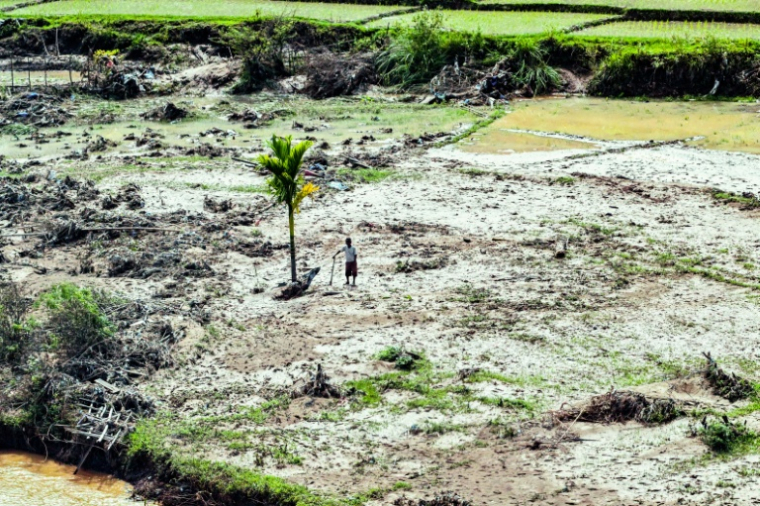 Des rizières ravagées par des inondations à Bener Meriah, dans la province indonésienne d'Aceh, le 4 décembre 2025 ( AFP / Chaideer MAHYUDDIN )