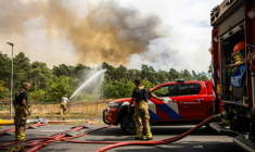 Des pompiers interviennent pour éteindre un feu de forêt près d'Oostrum, dans le sud-est des Pays-Bas, le 3 août 2026 ( ANP / ROB ENGELAAR )