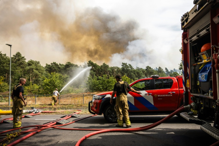 Des pompiers interviennent pour éteindre un feu de forêt près d'Oostrum, dans le sud-est des Pays-Bas, le 3 août 2026 ( ANP / ROB ENGELAAR )