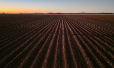 Des milliers d'agriculteurs blancs du Zimbabwe ont été expulsés dans le cadre d'un programme de réforme agraire au début des années 2000 ( AFP / Zinyange Auntony )