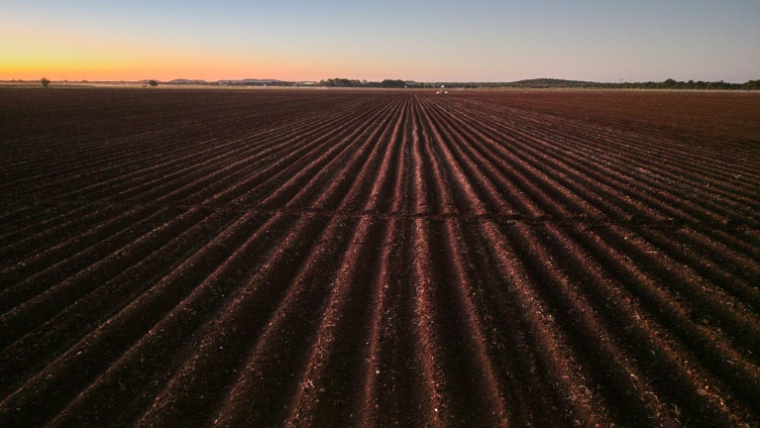 Des milliers d'agriculteurs blancs du Zimbabwe ont été expulsés dans le cadre d'un programme de réforme agraire au début des années 2000 ( AFP / Zinyange Auntony )