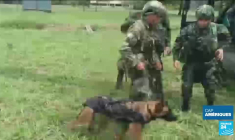 Donald Trump devant la justice fédérale : quel avenir politique pour l'ex-président ?