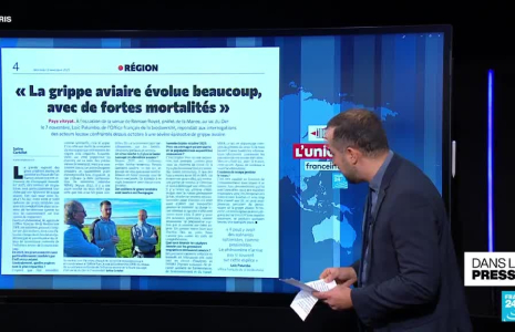 En manque de soldats, l'Ukraine s'essouffle