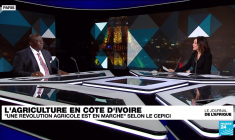 Agriculture en Côte d'Ivoire : comment produire un cacao responsable et durable ?