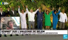 Sommet sur l’Amazonie : "la conservation de la forêt est essentiellement politique"