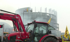 Dermatose, Mercosur: des agriculteurs manifestent devant le Parlement européen
