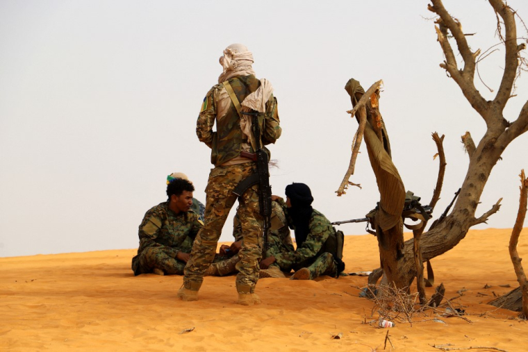 Des combattants du Front de libération de l'Azawad à Ménaka, au Mali, le 14 mars 2020. ( AFP / SOULEYMANE AG ANARA )