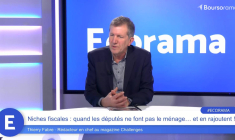 Niches fiscales : quand les députés ne font pas le ménage… et en rajoutent !