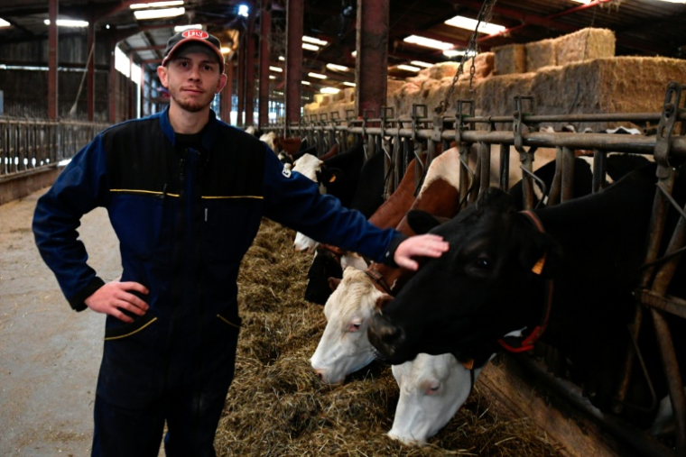 Aymeric Brandazzi, producteur de lait, dans un élevage à Xertigny, dans les Vosges, le 28 septembre 2024. ( AFP / Jean-Christophe VERHAEGEN )