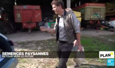 Semences paysannes : retour vers le futur