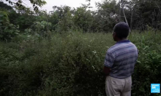 Cambodge : vrai carbone, faux crédits? Enquête sur une déforestation massive