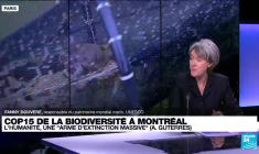 COP15 à Montréal : "Une partie de la biodiversité va disparaître"