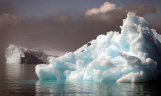 LES ENTREPRISES DU CAC 40 PRÊTES À LA TRANSPARENCE SUR LE CLIMAT