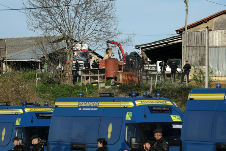 Des gendarmes bloquent l'accès à une ferme touchée par la dermatose nodulaire contagieuse (DNC) pendant l'abattage d'un troupeau de vaches aux Bordes-sur-Arize, le 12 décembre 2025 en Ariège ( AFP / Valentine CHAPUIS )