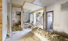 (Crédits photo:   © lapas77 - stock.adobe.com)